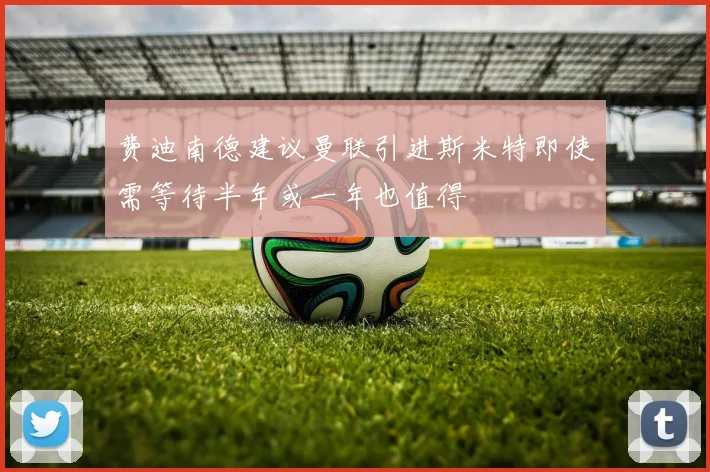 费迪南德建议曼联引进斯米特即使需等待半年或一年也值得